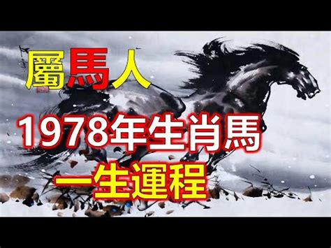 1978屬馬幸運數字|1978年属马的幸运数字：如何助力财运提升？